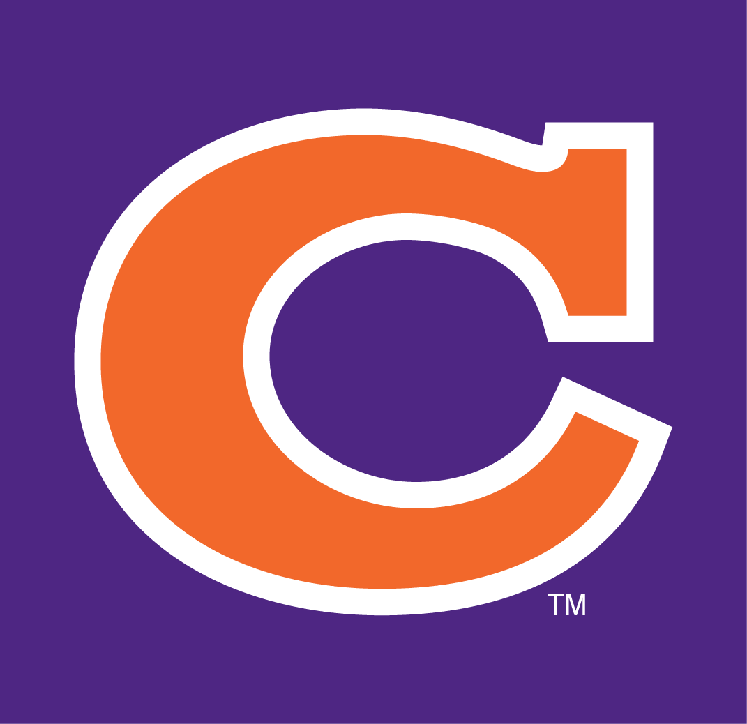Clemson Tigers 1965-1969 Alternate Logo diy iron on heat transfer